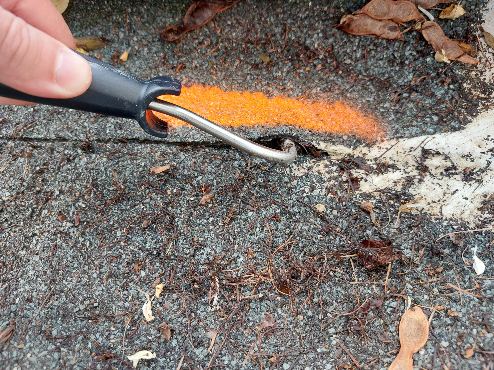 Diagnostika střešních defektů