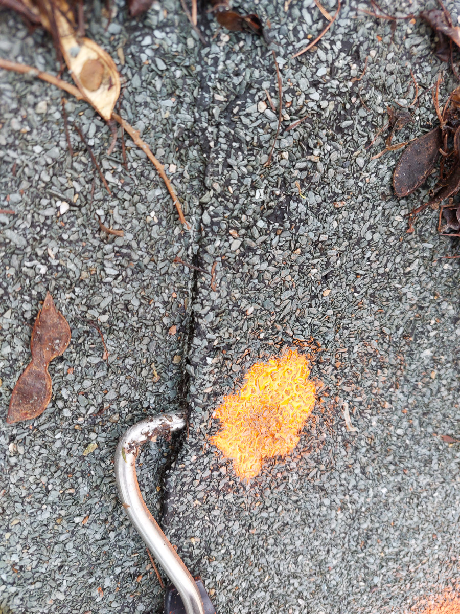 Diagnostika střešních defektů