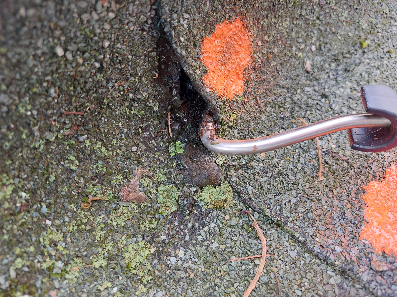 Diagnostika střešních defektů